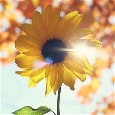 beat365手机app下载